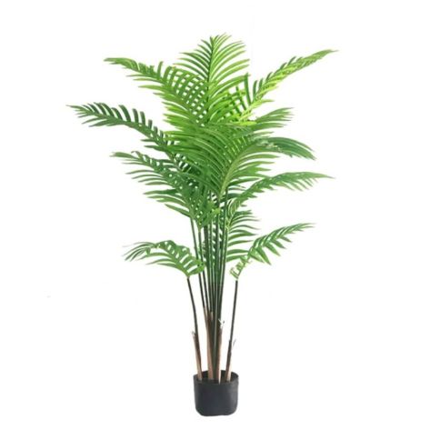 Palm Tree 120