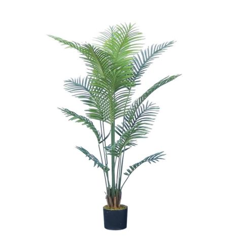 Palm Tree 160