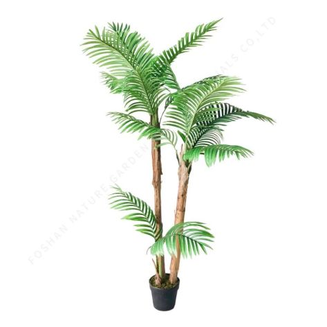 Palm Tree 170