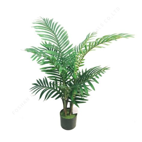 Palm Tree 90