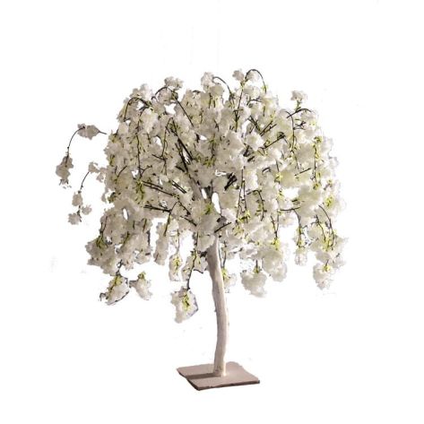 Cherry Blossom Tree 100