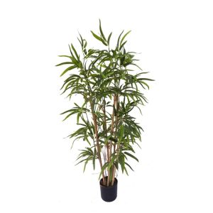 Bamboo Tree 100