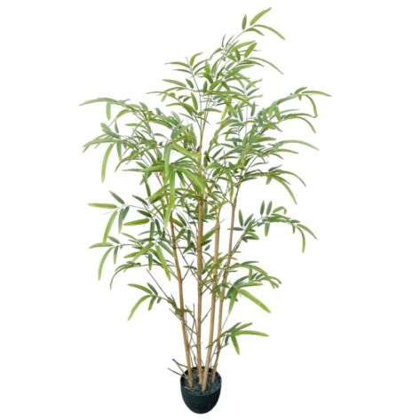 Bamboo Tree 120