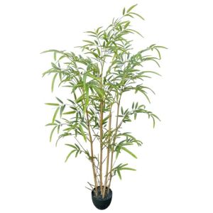 Bamboo Tree 120