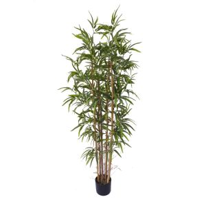 Bamboo Tree 150
