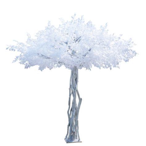 Fig Tree 300 white