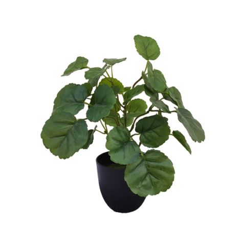Potted Plant 30 -1
