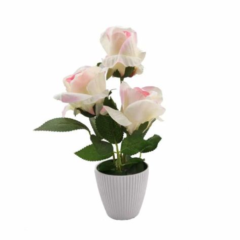 Potted Plant 30