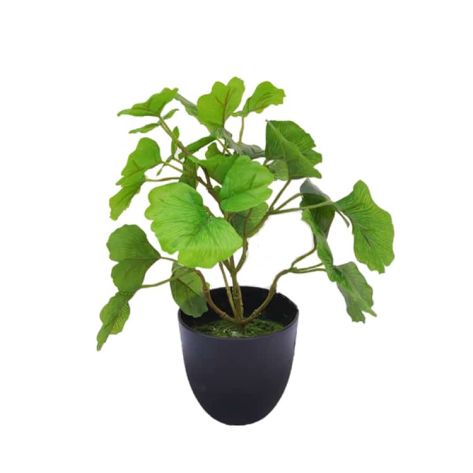Potted Plant 30 -2