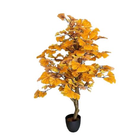 Ginkgo Tree 90
