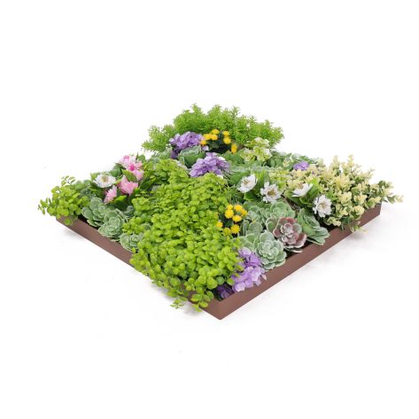 Succulent Frame