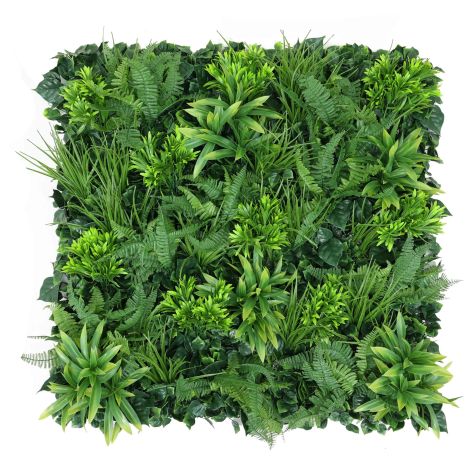 Mixed Fern Jungle