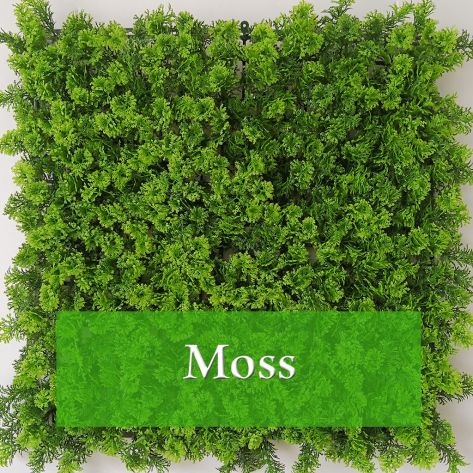 Moss